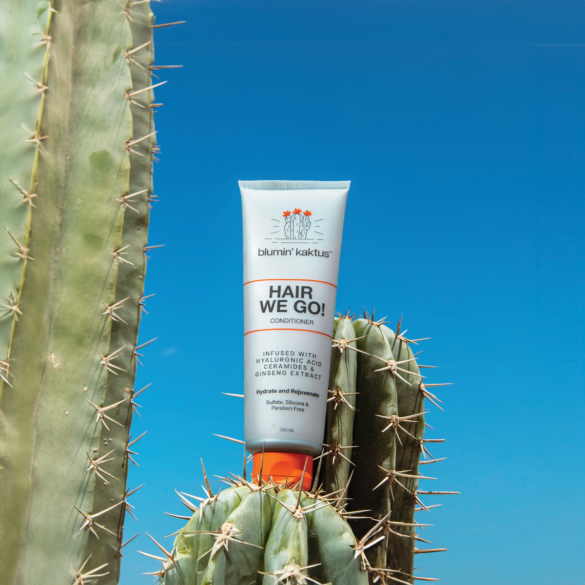 Hair We Go - Conditioner