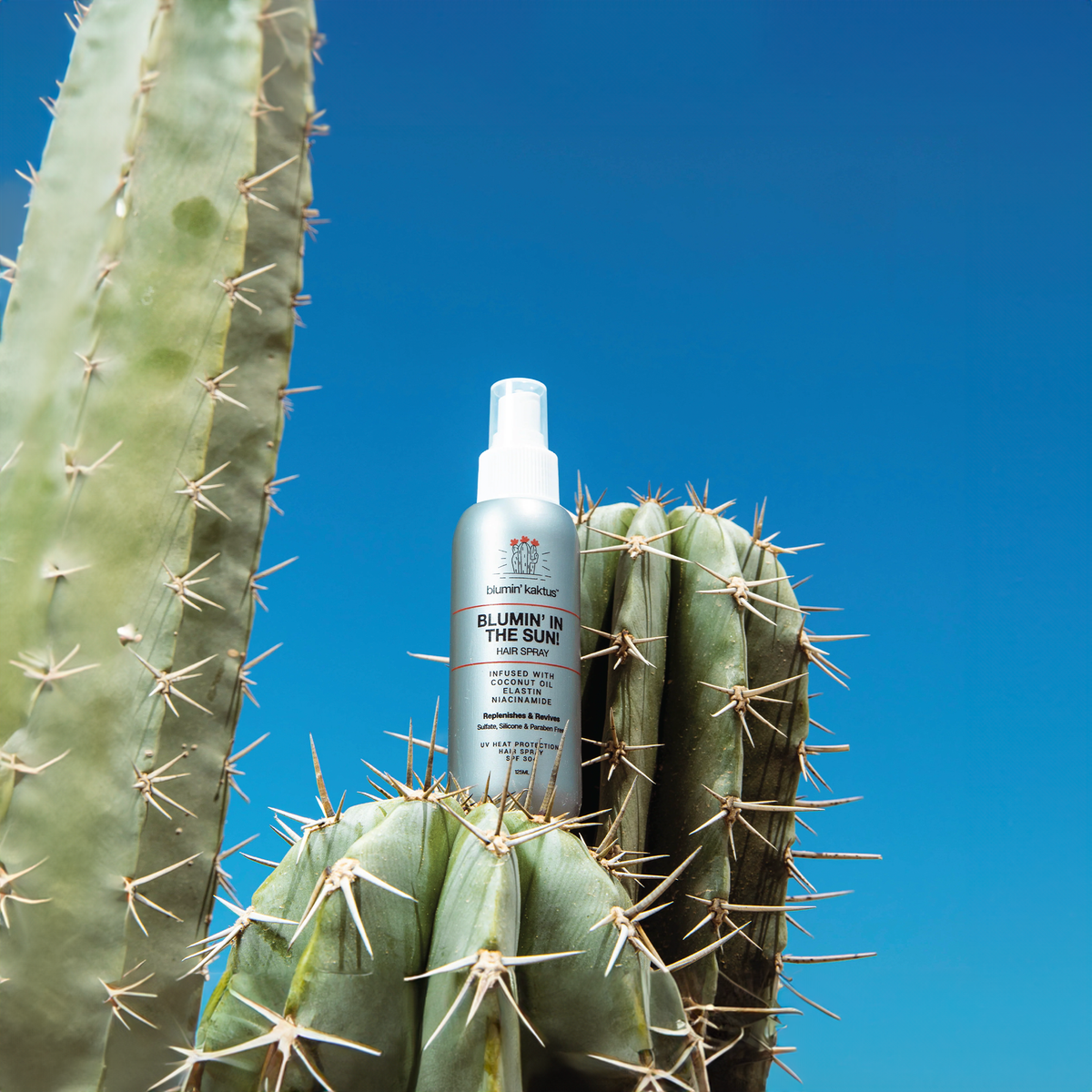 Blumin' In The Sun - Hair Spray
