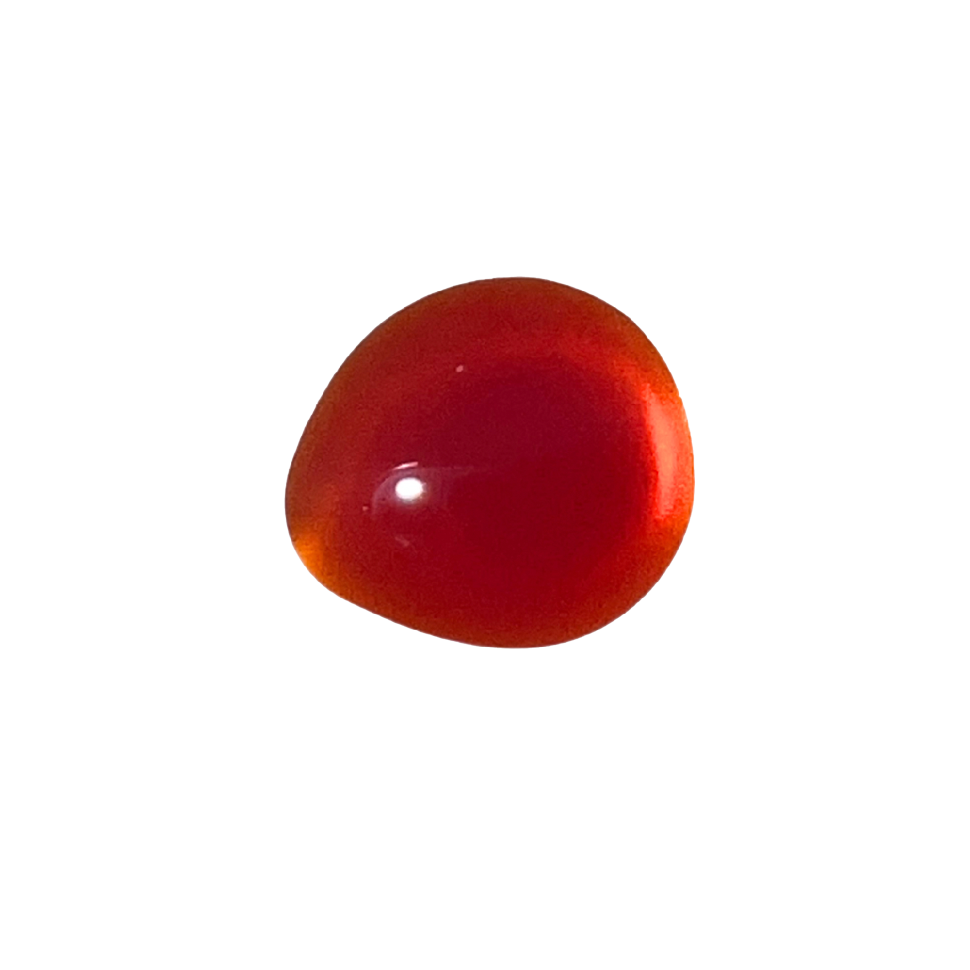 Bayeb Tint