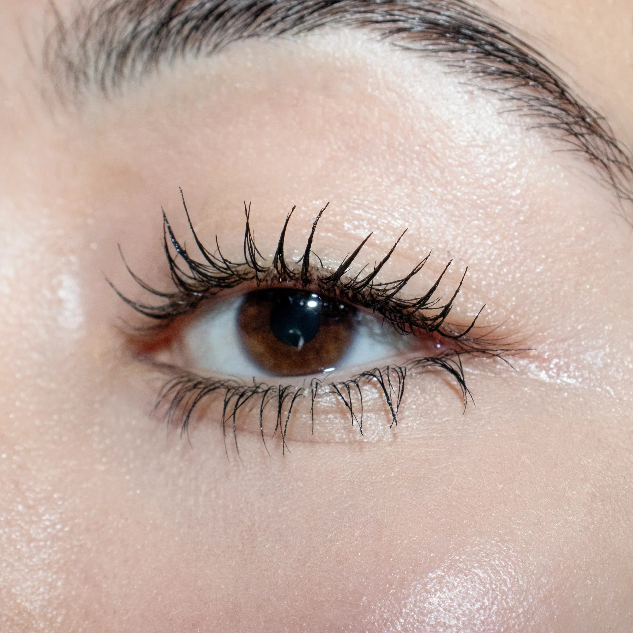 LillyLash Mascara