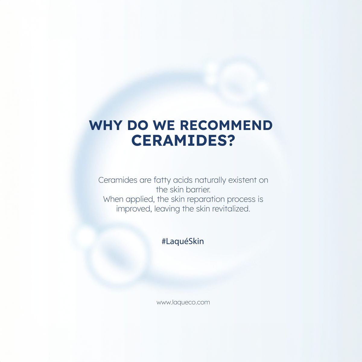 Skin Solution Ceramide Facial Moisturizer