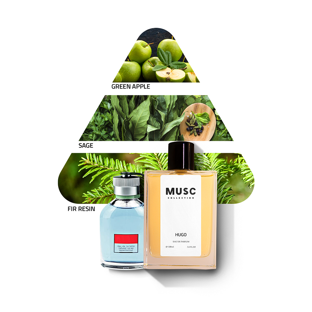 Hugo Boss Perfume