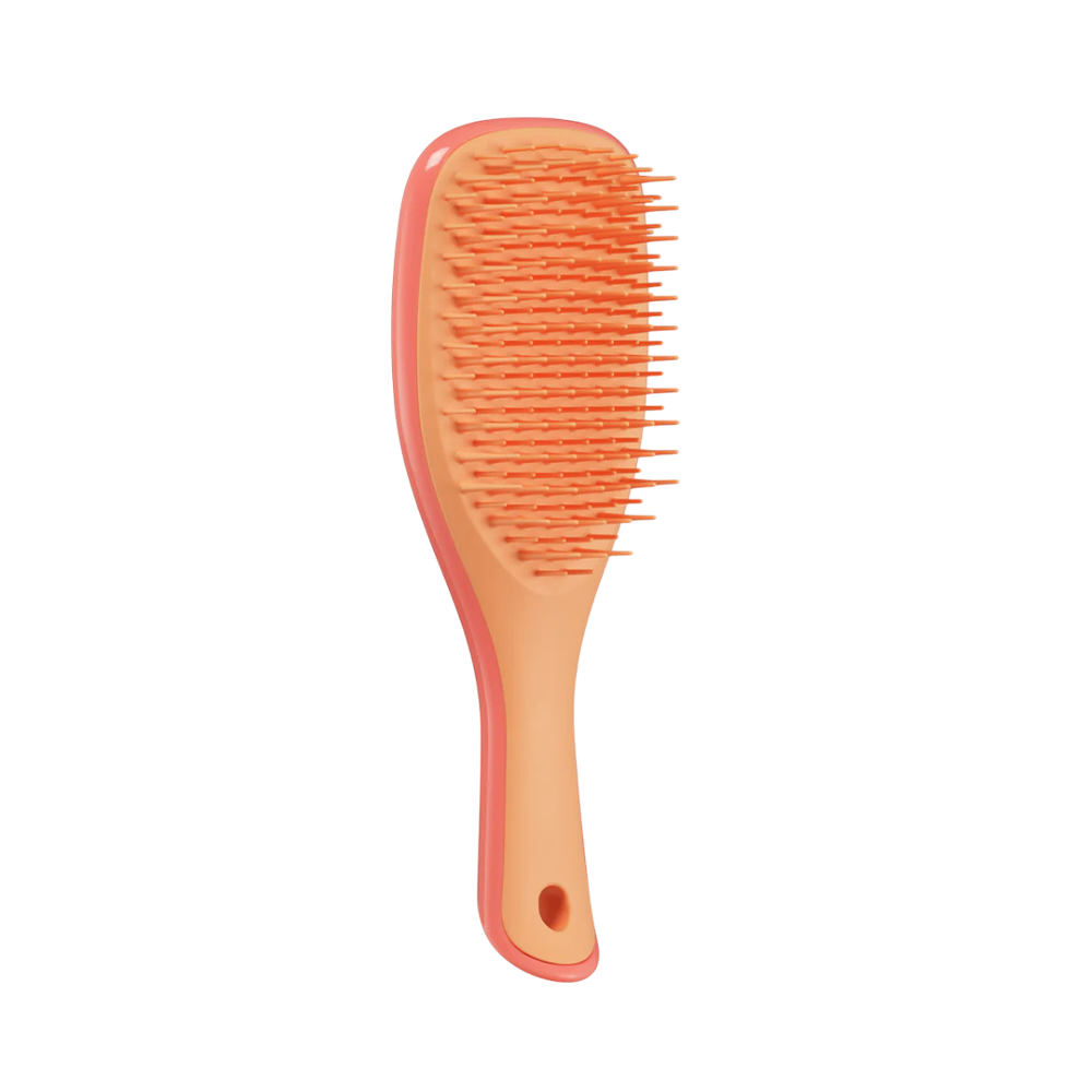 The Ultimate Mini Detangler