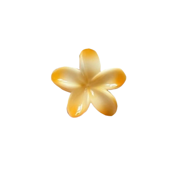 Hawaiian Claw Clips 2.0