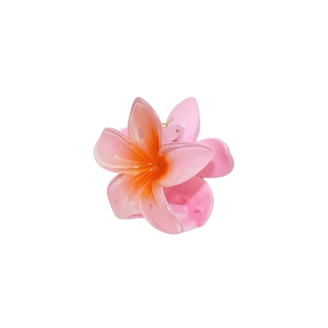 Mini Hawaiian Claw Clip