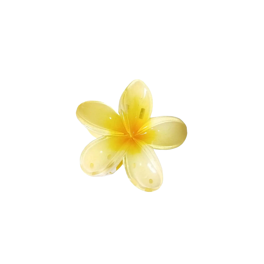 Mini Hawaiian Claw Clip
