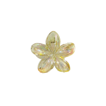 Transparent Hawaiian Claw Clip