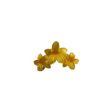 Triple Hawaiian Claw Clip